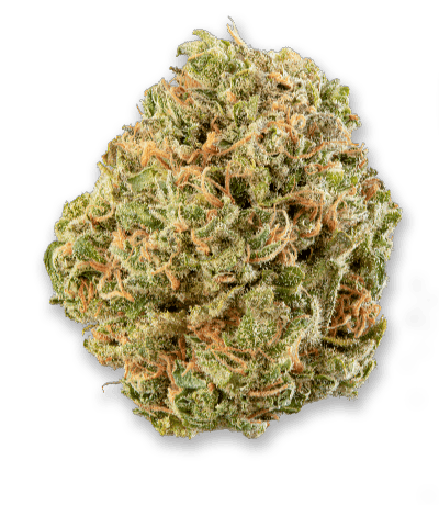 Mk Ultra
