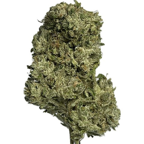 Hippie Headbanger