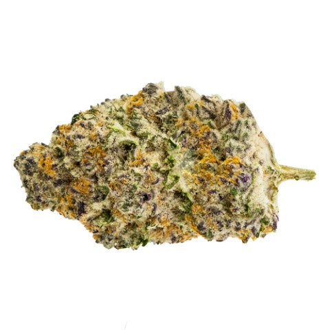 Gorilla Milk 4