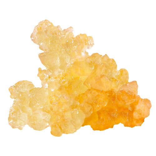 Gorilla Grape Live Resin Caviar 2