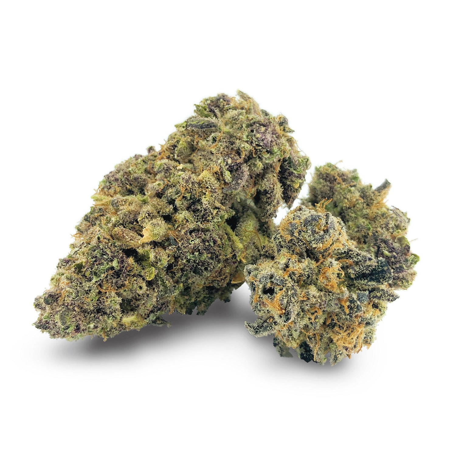Pineapple Buds Hawaiian Pineapple