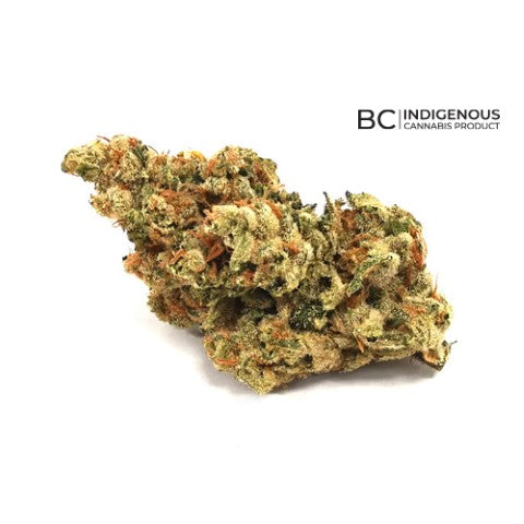 Bushels Sativa (Moby Dick) Lto