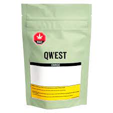 Vision Qwest