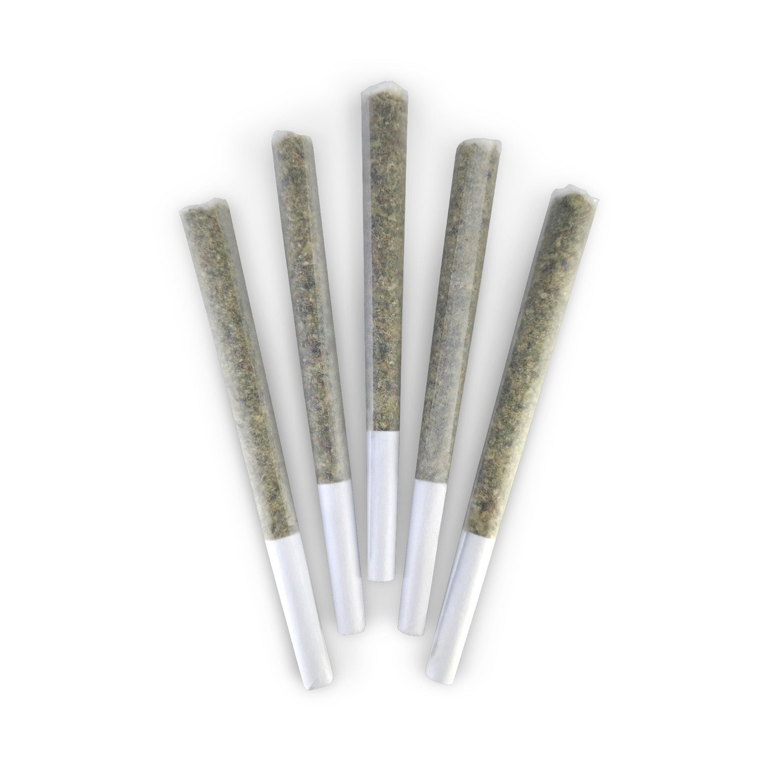 French Beignet Pre-Rolls