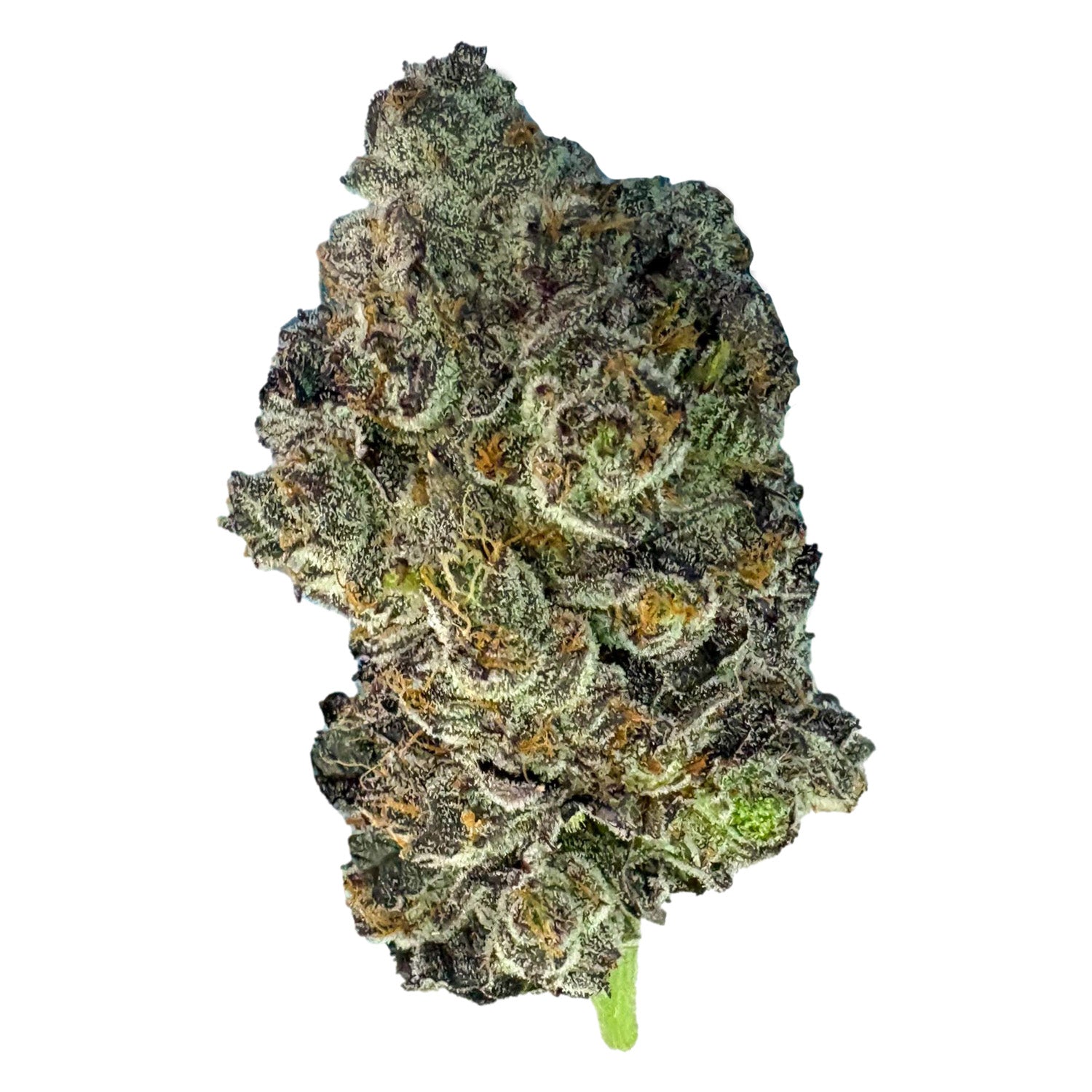 Pink Zkittlez Lto