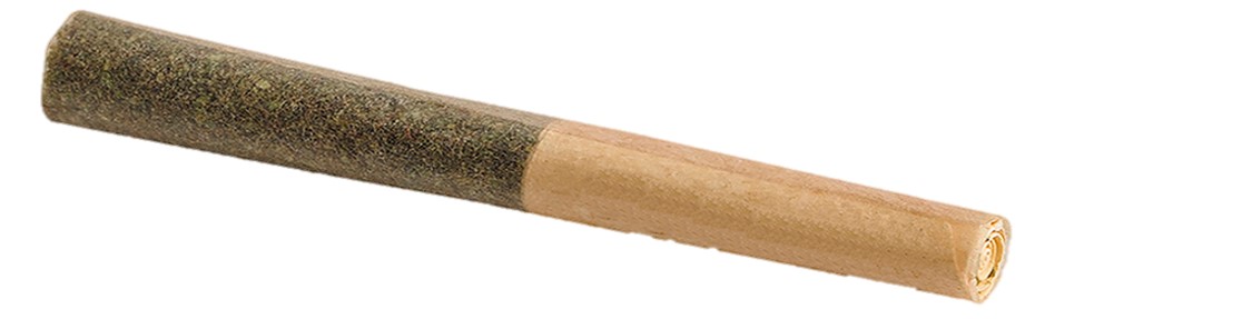 Higher Levels Pre-Rolls