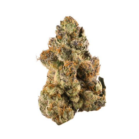 Bong Guru Rockstar