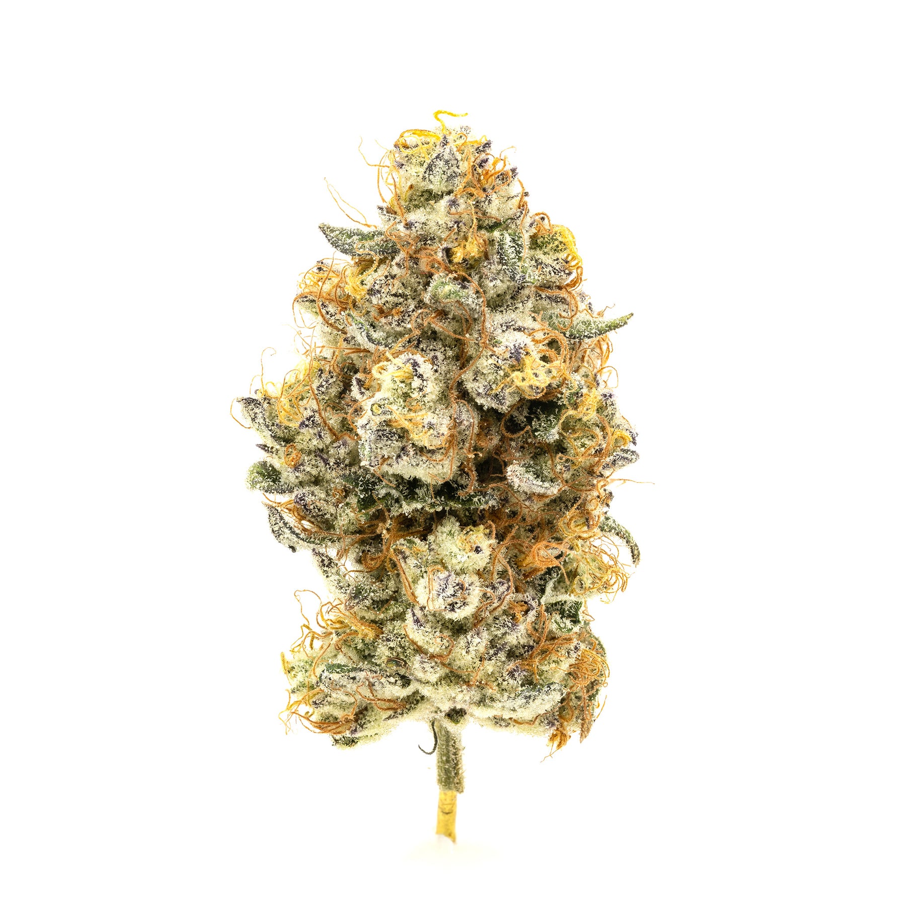 Simply bare- organic cleopatra 3.5g