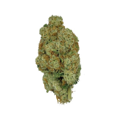 Shucanna Black Triangle 3.5G