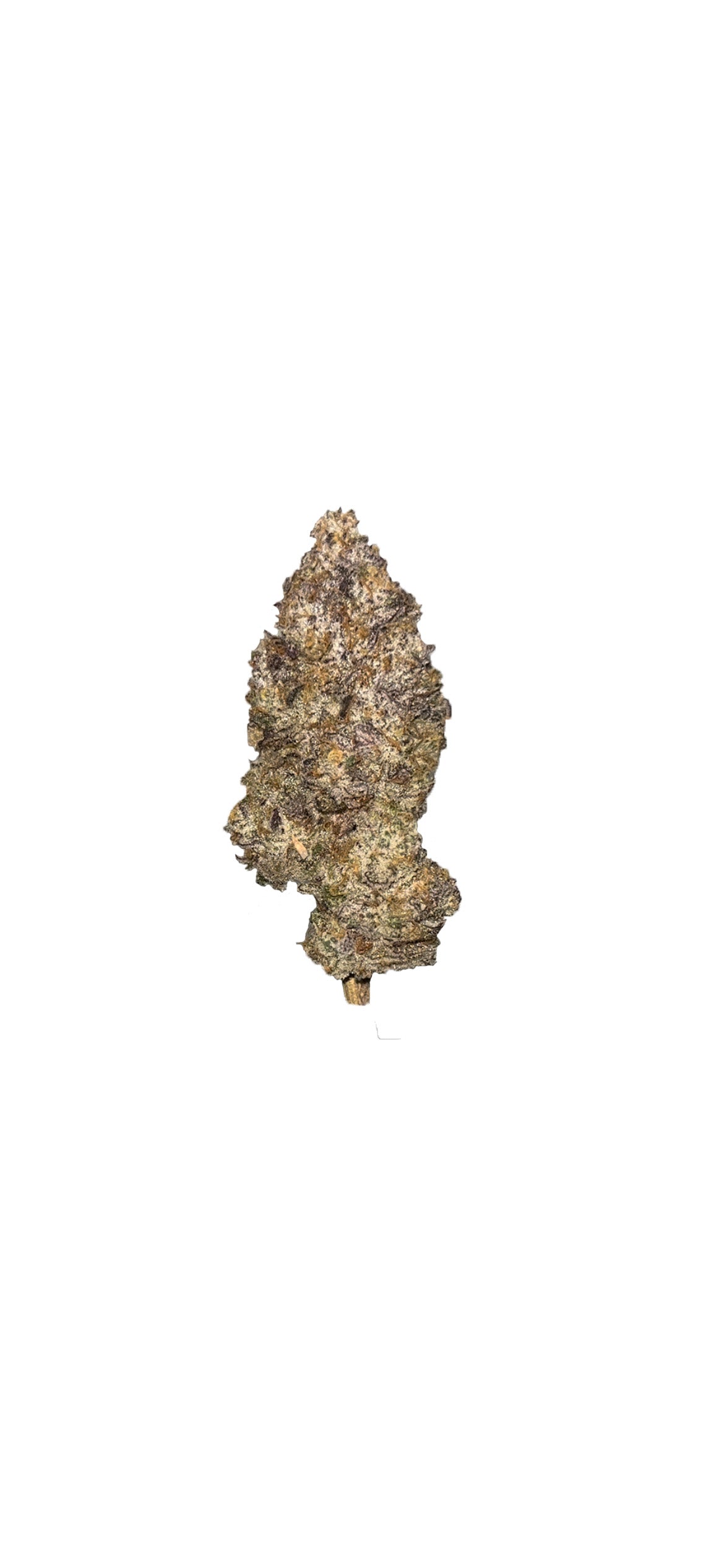 J buds- sour dragon 7g