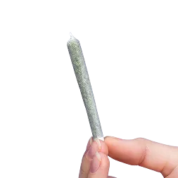 Pre-Rolls
